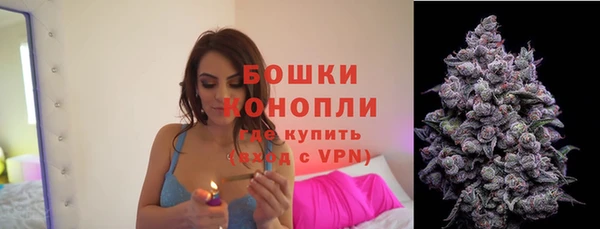 МДПВ Дмитров