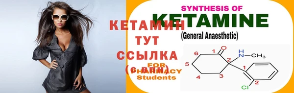 гидра Гусев