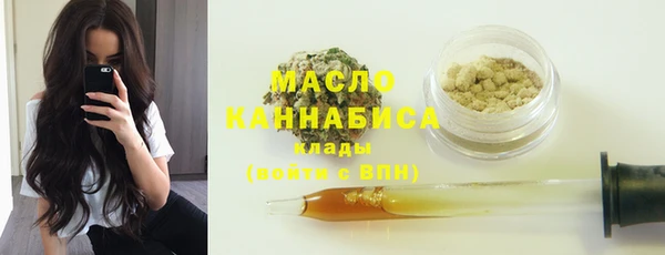 гидра Гусев