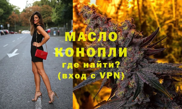 гидра Гусев