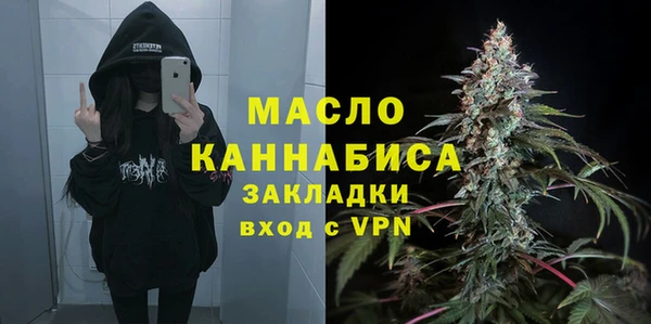 гидра Гусев