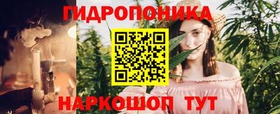 кокс Донской