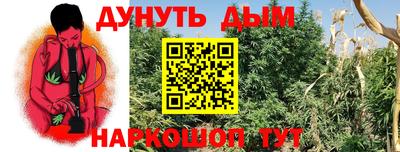 кокс Донской
