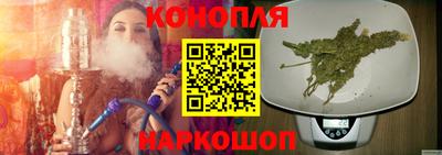кокс Донской