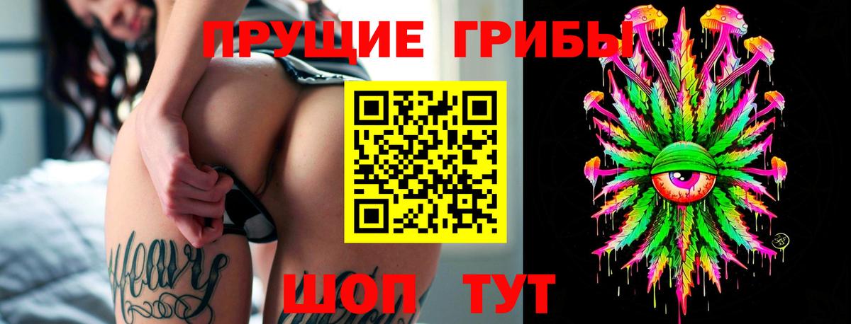 Галлюциногенные грибы GOLDEN TEACHER  Вход с VPN  Отрадный 